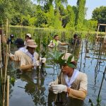 Penanaman Bibit Bakau – Hutan Mangrove